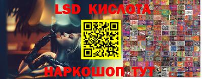 ПСИЛОЦИБИНОВЫЕ ГРИБЫ Азнакаево