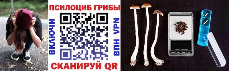 shop как зайти Алексин Галлюциногенные грибы Magic Shrooms