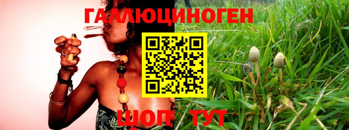 Галлюциногенные грибы Psilocybe  Галлюциногенные грибы Psilocybine cubensis  Вход с VPN  магазин продажи наркотиков  Алексин 