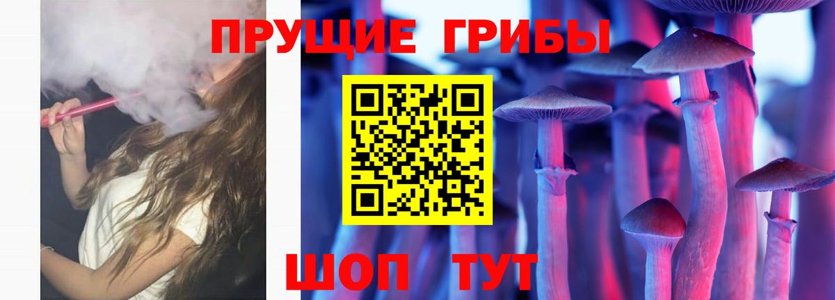 Галлюциногенные грибы Magic Shrooms Алексин